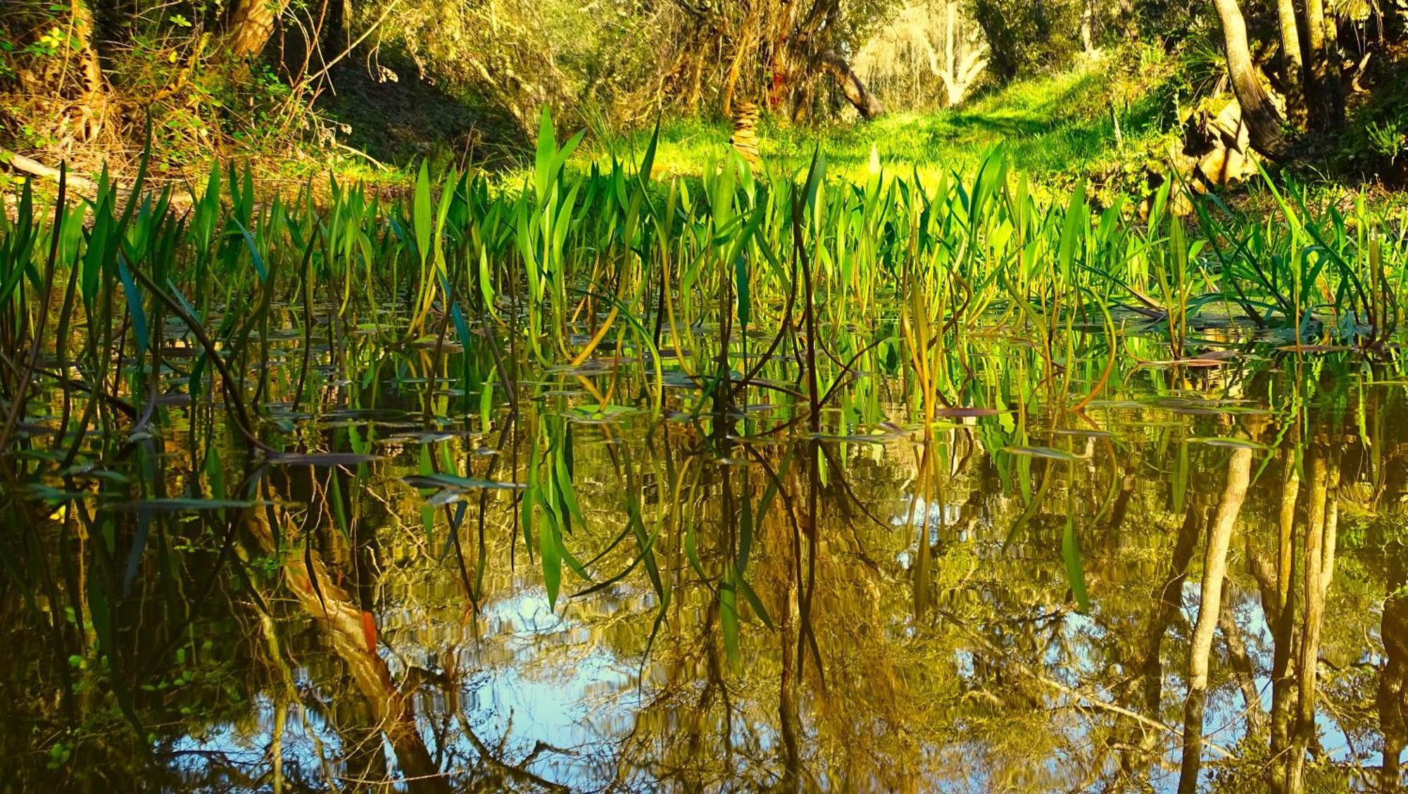 Herdade Vale De Gaios By Stay In Alentejo São Luis Zewnętrze zdjęcie