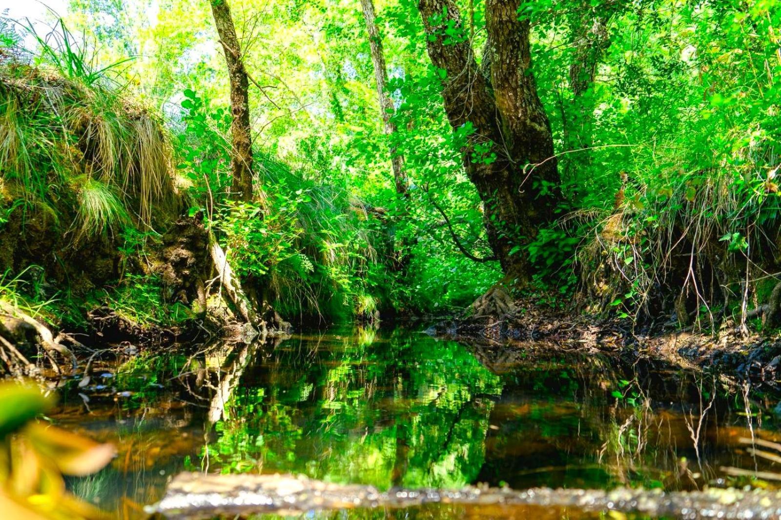Herdade Vale De Gaios By Stay In Alentejo São Luis Zewnętrze zdjęcie