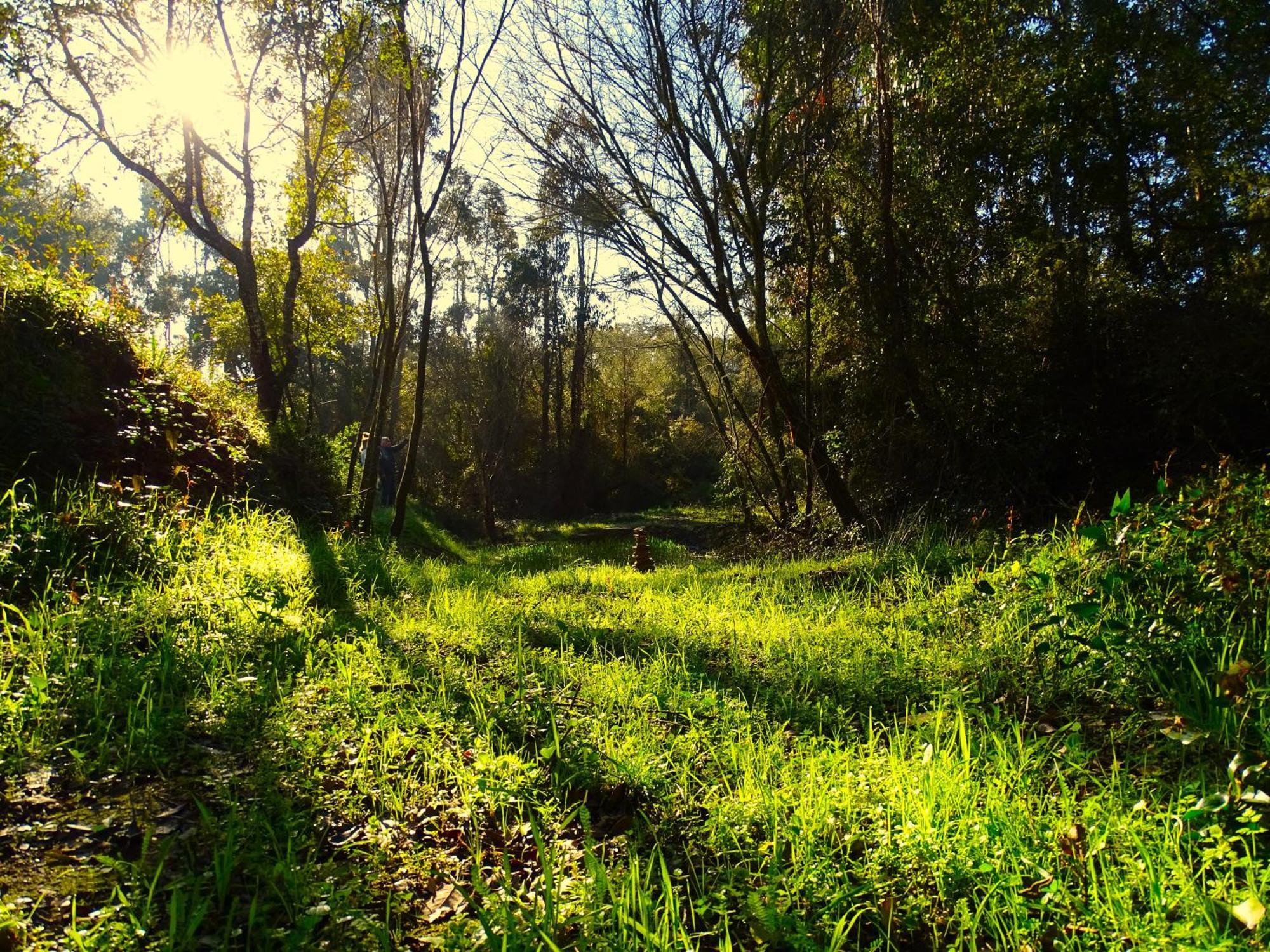 Herdade Vale De Gaios By Stay In Alentejo São Luis Zewnętrze zdjęcie