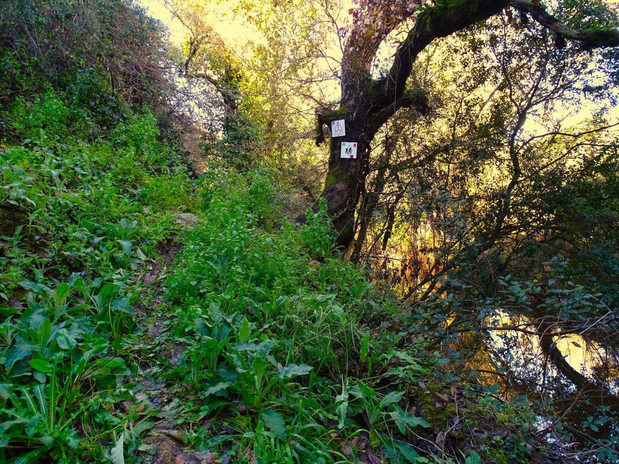 Herdade Vale De Gaios By Stay In Alentejo São Luis Zewnętrze zdjęcie