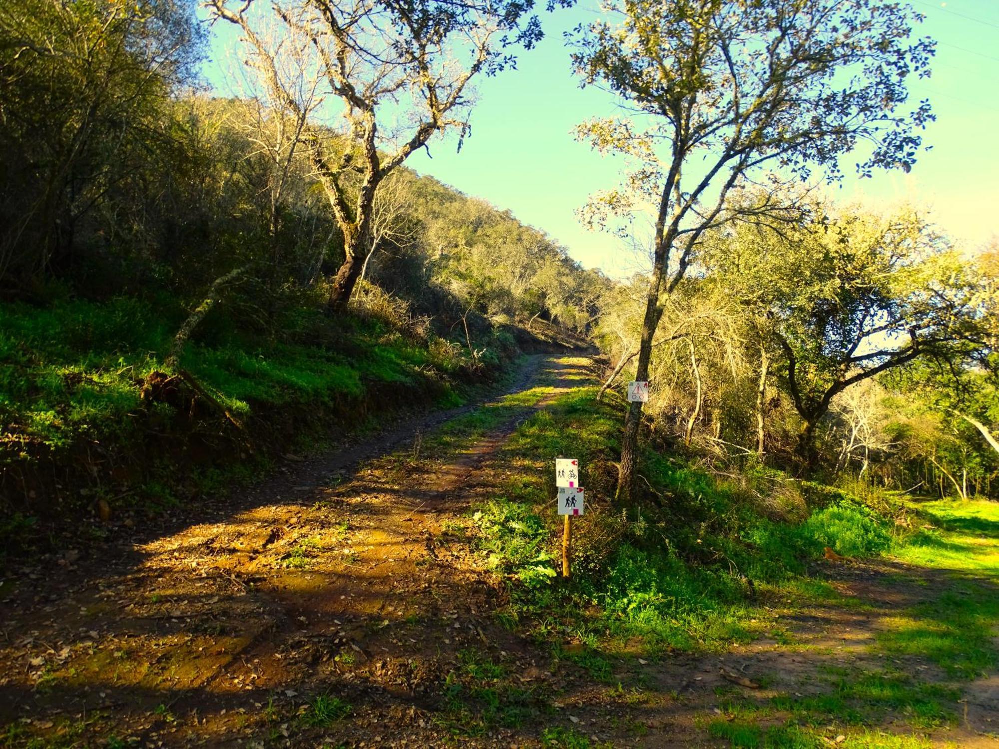 Herdade Vale De Gaios By Stay In Alentejo São Luis Zewnętrze zdjęcie