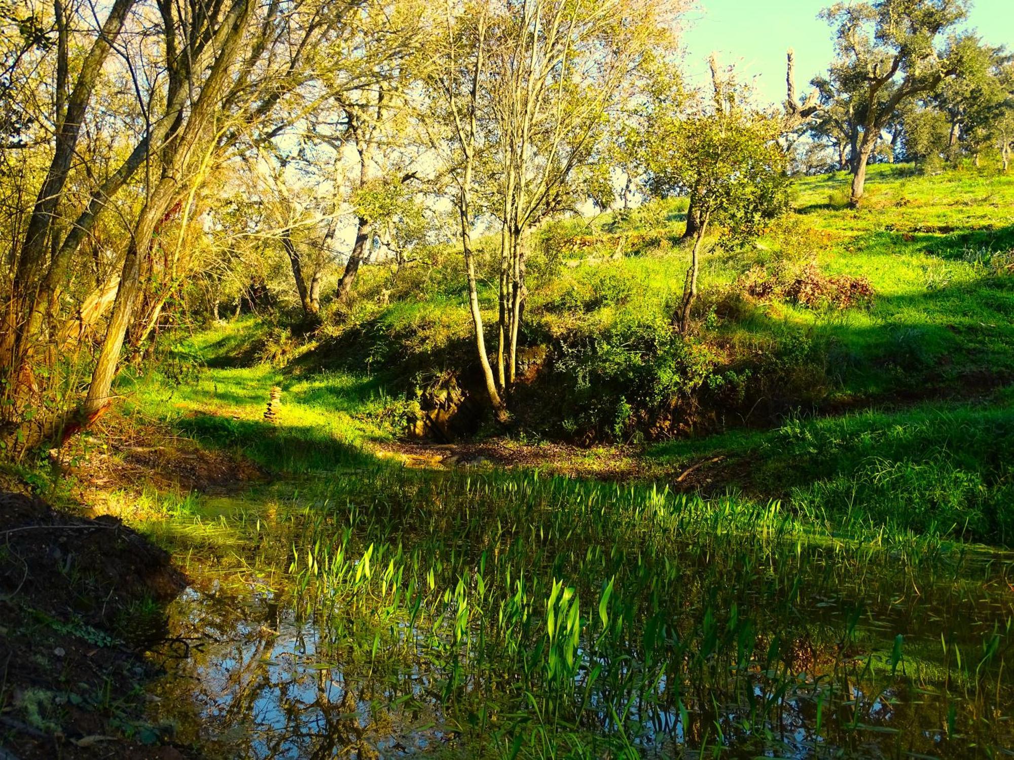 Herdade Vale De Gaios By Stay In Alentejo São Luis Zewnętrze zdjęcie